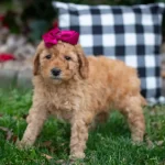 1772943755-finley4